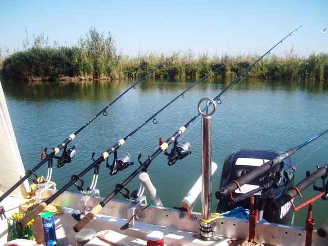 delta rosu 2009 - sany7968.JPG